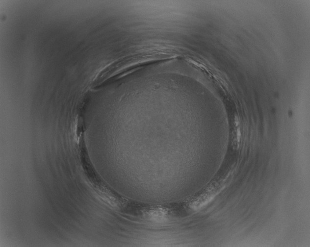 X0000051240600200506241523