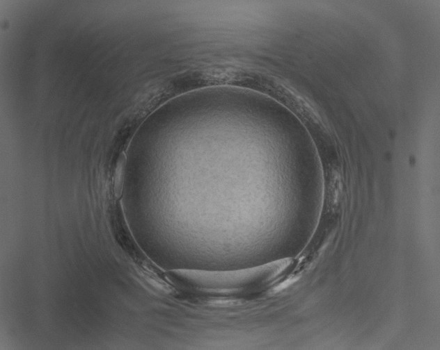 X0000051240601200506241523