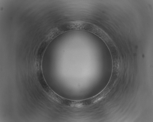 X0000051240602200506241523