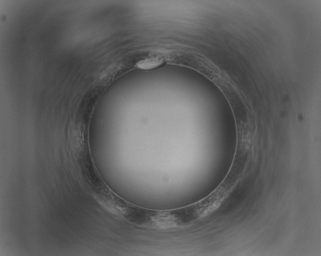 X0000051240603200506241523