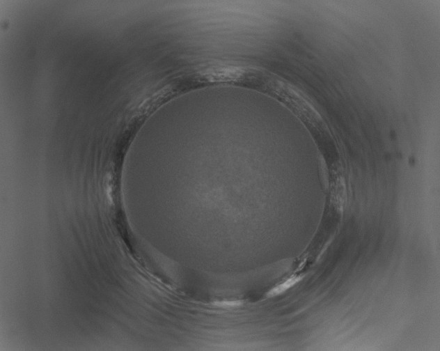 X0000051240604200506241523