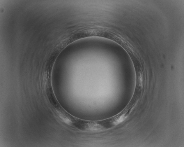 X0000051240605200506241523