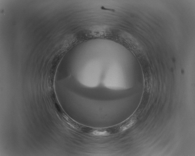 X0000051240606200506241523