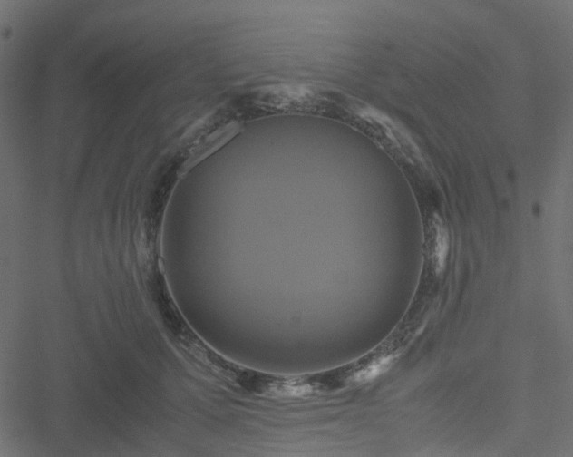 X0000051240607200506241523