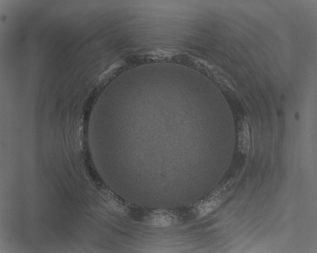 X0000051240608200506241523