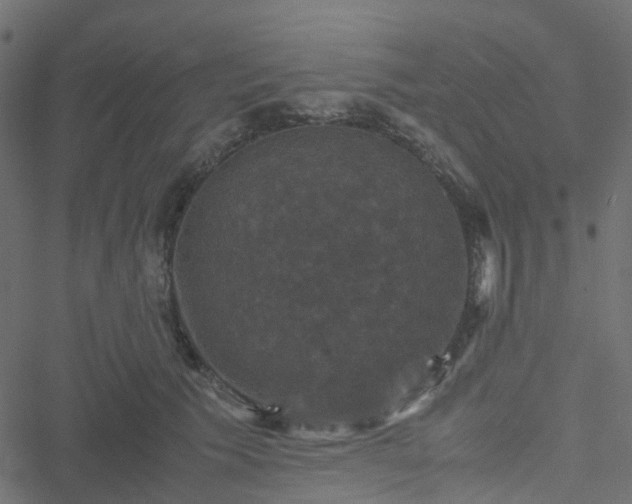 X0000051240609200506241523