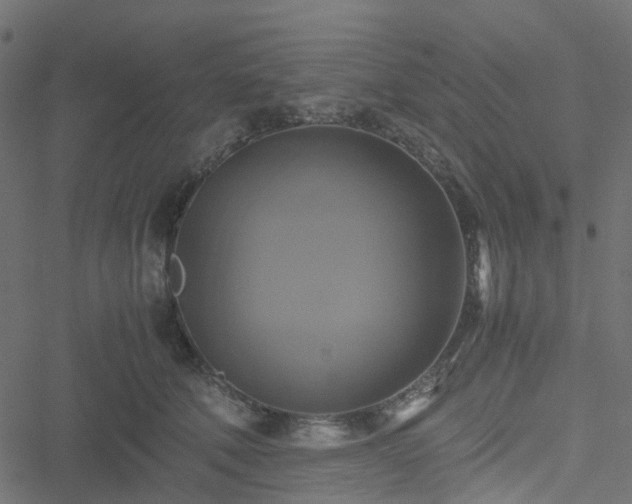 X0000051240610200506241523