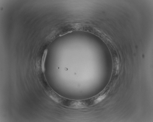 X0000051240611200506241523