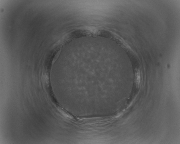 X0000051240613200506241523