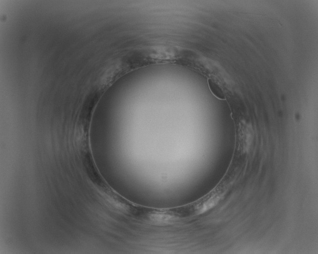 X0000051240614200506241523