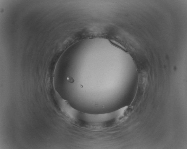 X0000051240615200506241523