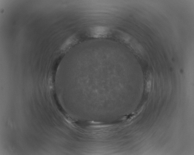 X0000051240620200506241523