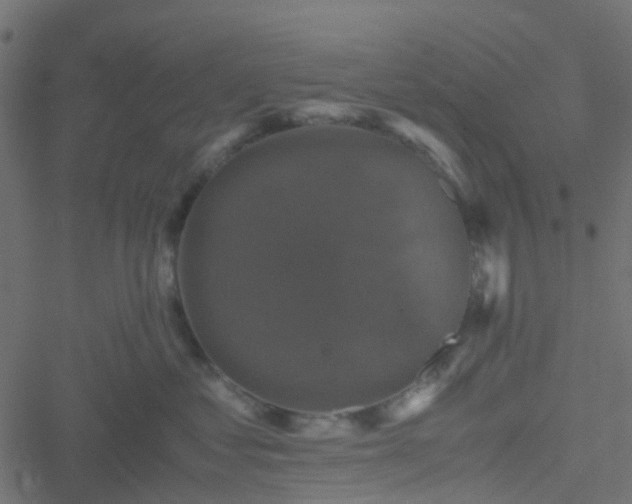 X0000051240621200506241523