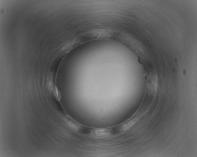 X0000051240622200506241523