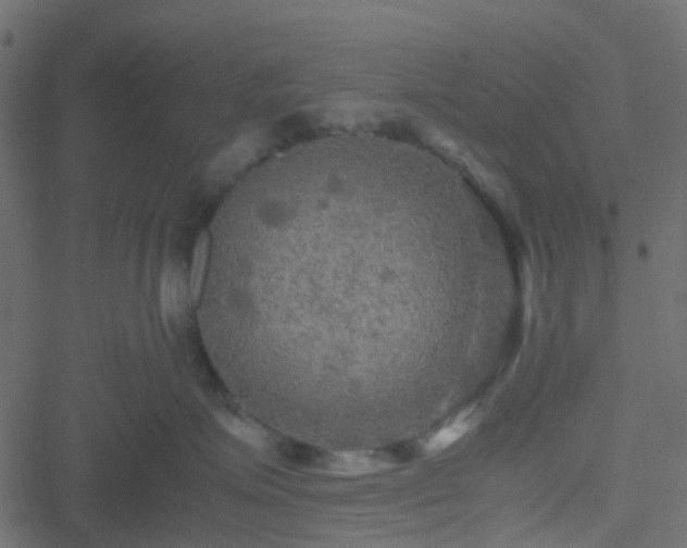 X0000051240623200506241523