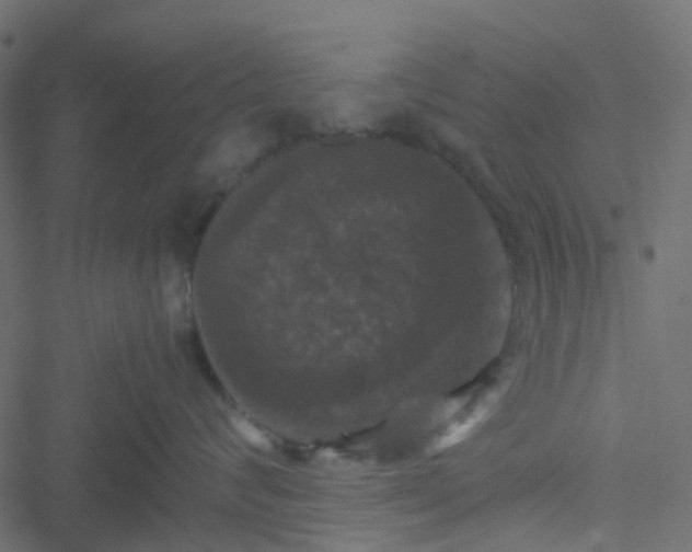 X0000051240624200506241523