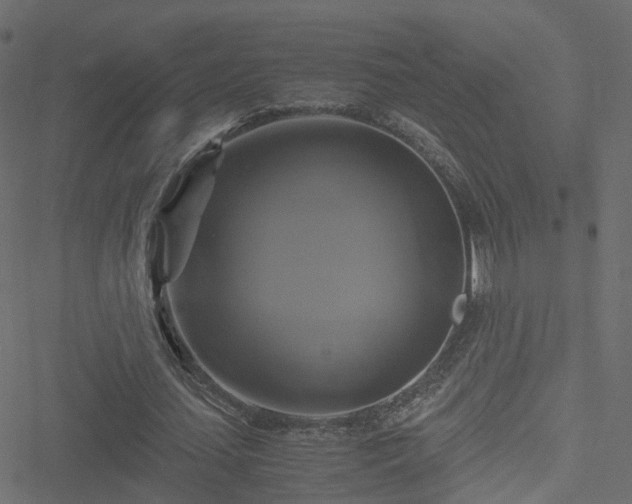 X0000051240627200506241522