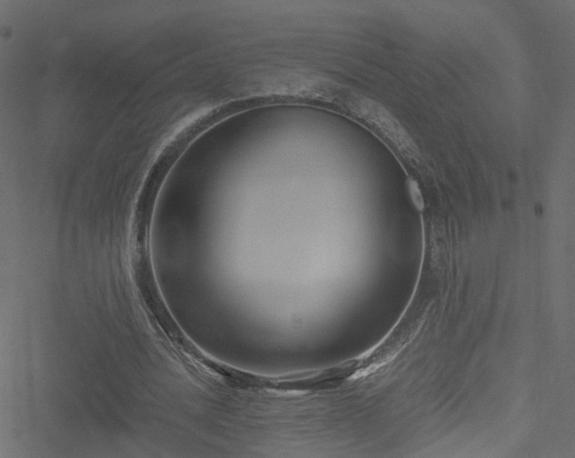 X0000051240628200506241522