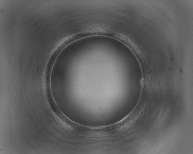 X0000051240629200506241522