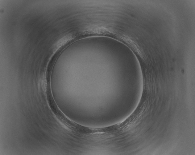 X0000051240630200506241522