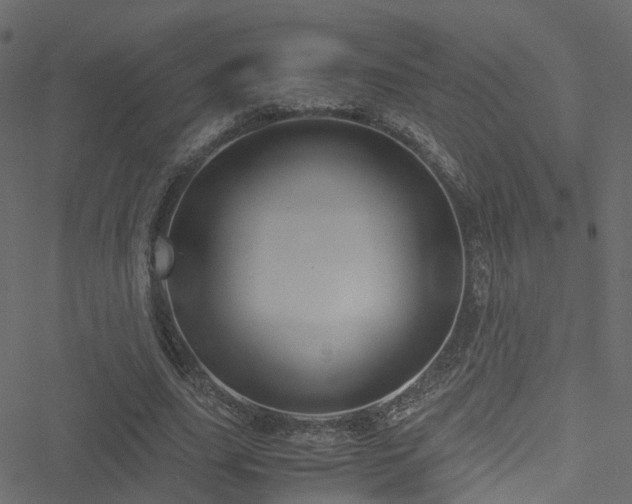 X0000051240631200506241522