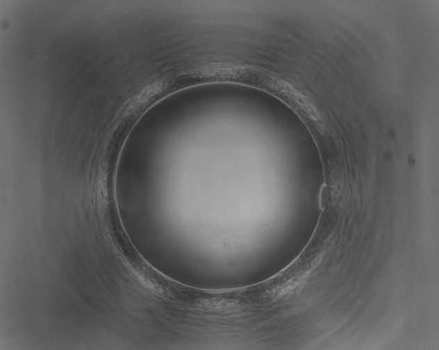 X0000051240633200506241522