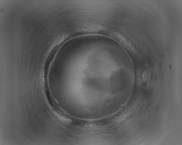 X0000051240634200506241522