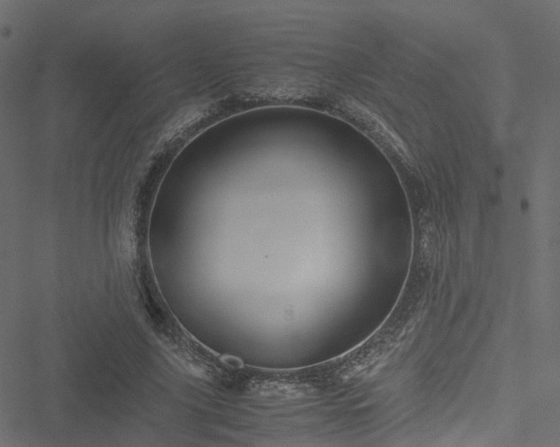 X0000051240635200506241522