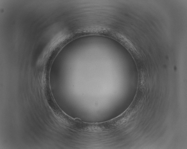 X0000051240636200506241522