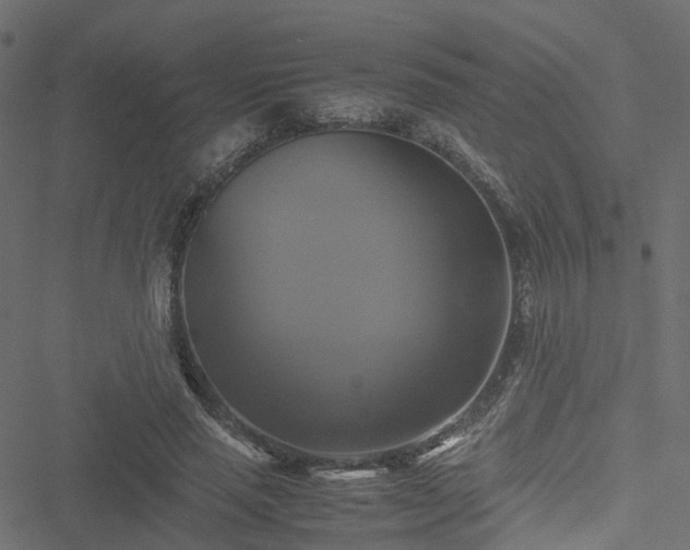 X0000051240637200506241522