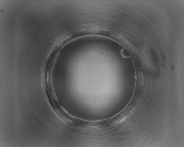 X0000051240638200506241522