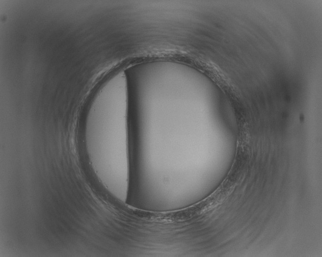 X0000051240640200506241522