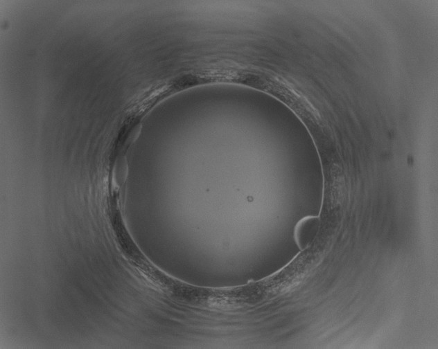 X0000051240641200506241522