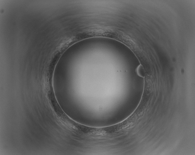 X0000051240642200506241522