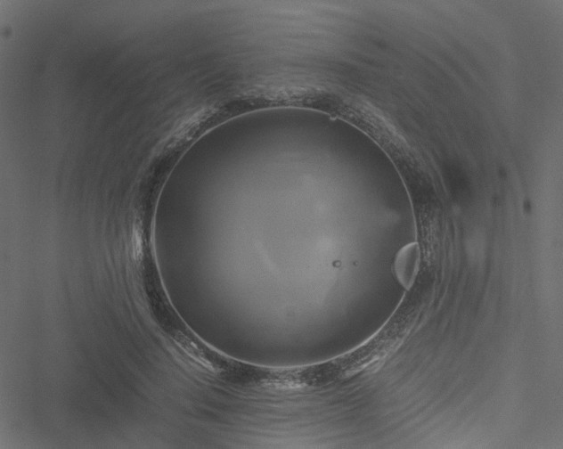 X0000051240644200506241522