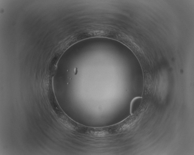 X0000051240645200506241522