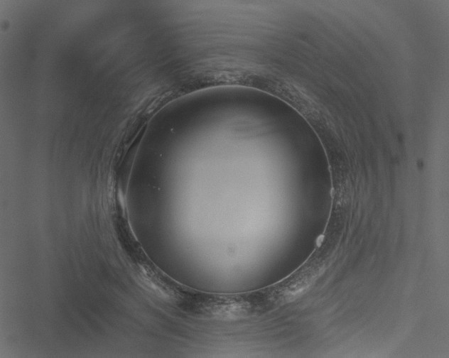 X0000051240646200506241522