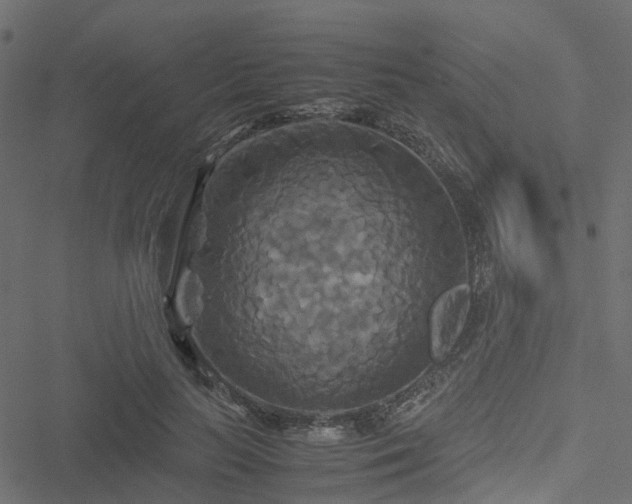 X0000051240647200506241522