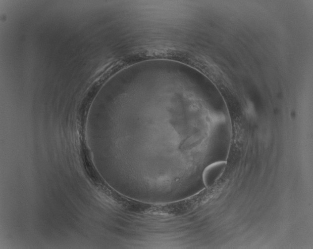 X0000051240648200506241522