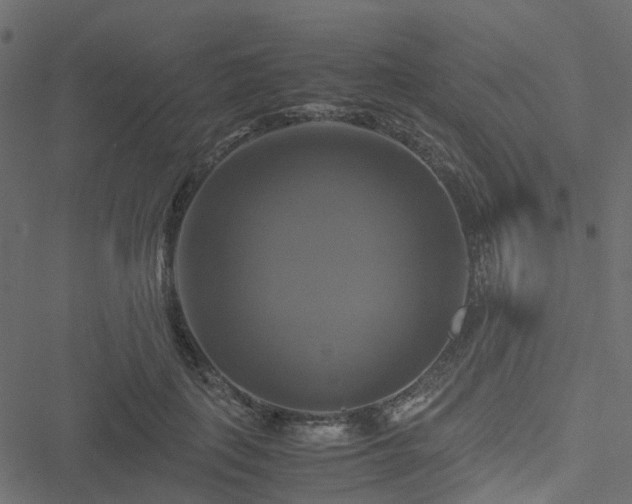 X0000051240651200506241522