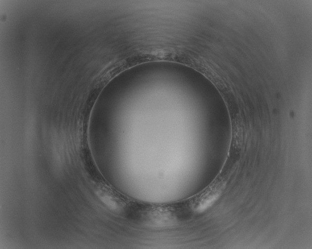 X0000051240656200506241522