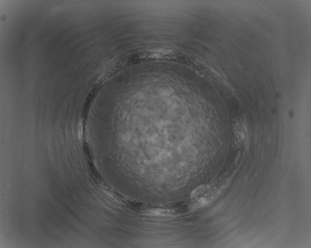 X0000051240657200506241522