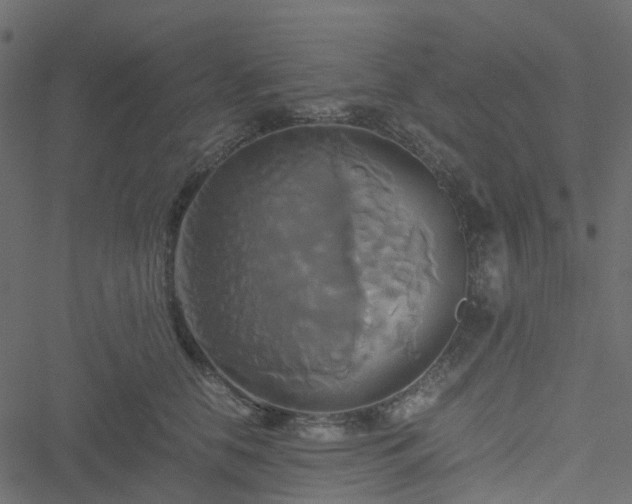 X0000051240658200506241522