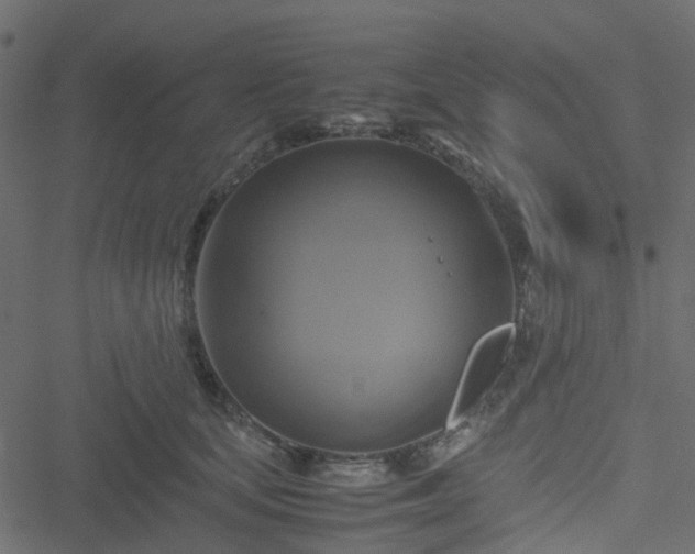 X0000051240659200506241522