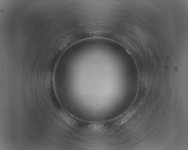 X0000051240660200506241523