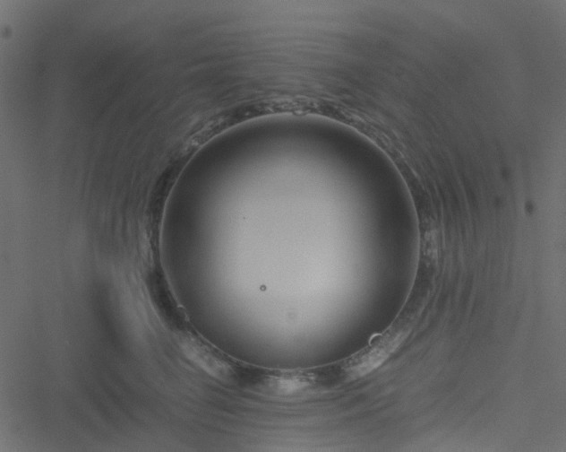 X0000051240662200506241523