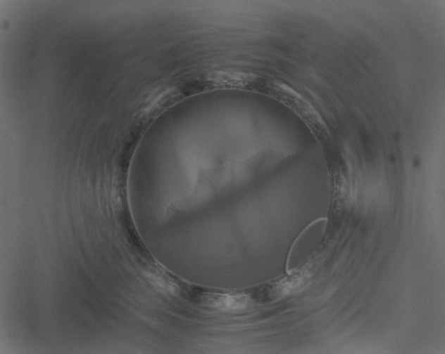 X0000051240663200506241523