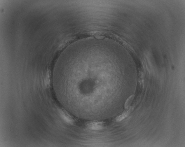 X0000051240664200506241523