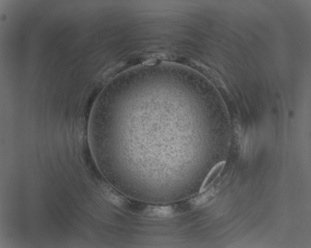 X0000051240665200506241523