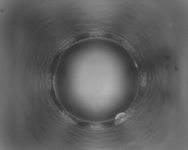 X0000051240666200506241523